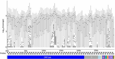 Initial Insights Into the Genetic Epidemiology of SARS-CoV-2 Isolates From Kerala Suggest Local Spread From Limited Introductions